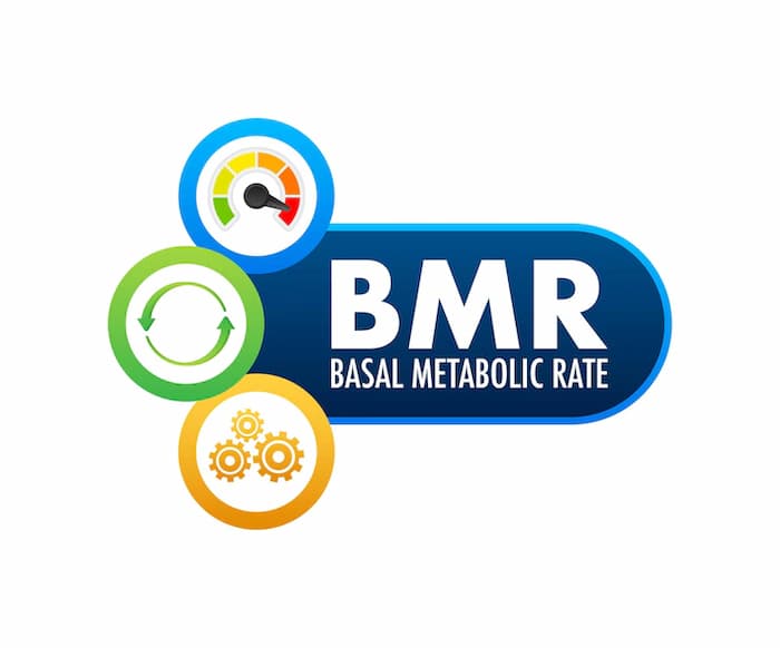 BMR